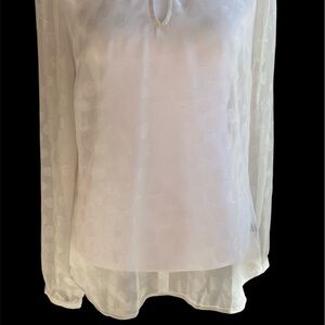 The Limited Sheer Elegant Beige Women’s Size Small Blouse